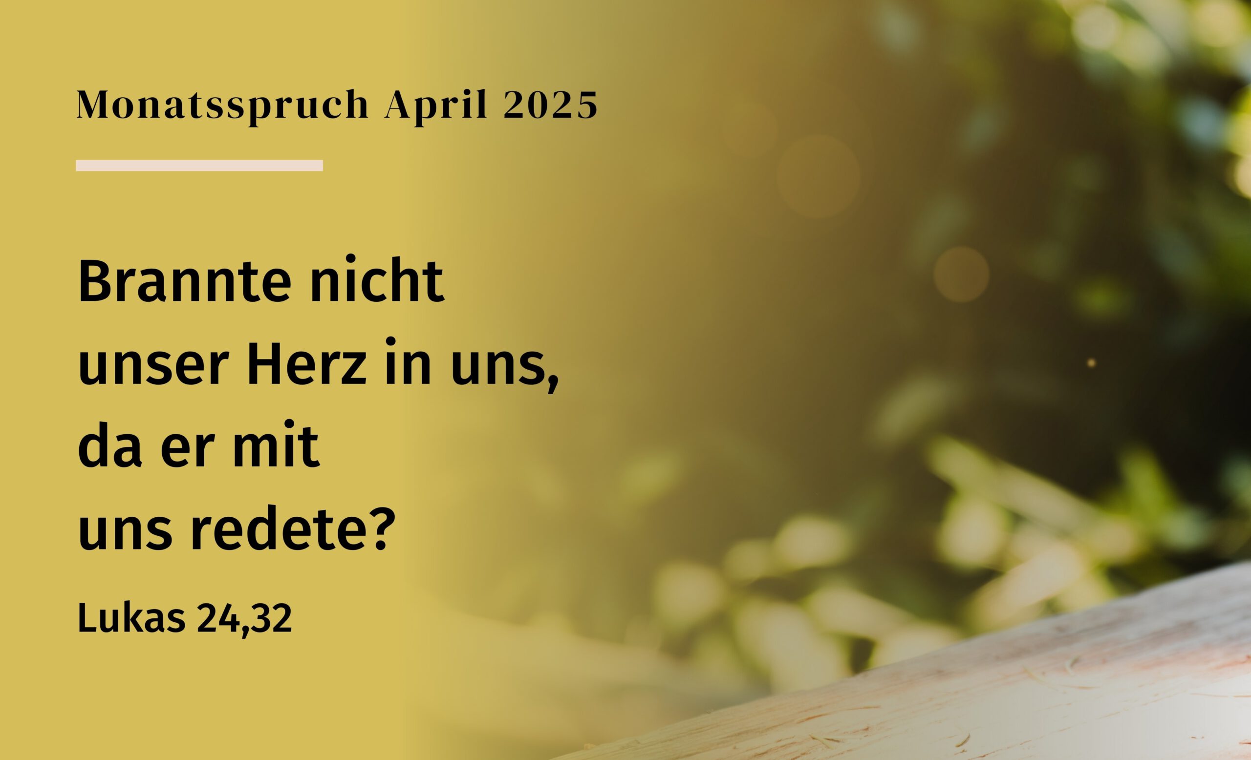 Mehr über den Artikel erfahren Feuer und Flamme